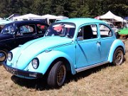 Beetle Show Rioz (49)